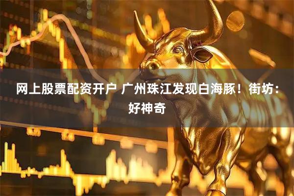 网上股票配资开户 广州珠江发现白海豚！街坊：好神奇